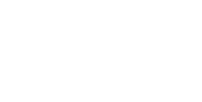 The Diary of a CEO